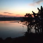 Bengali Poetry/আকাশ ছোঁয়া/By Kishore Mjaumder